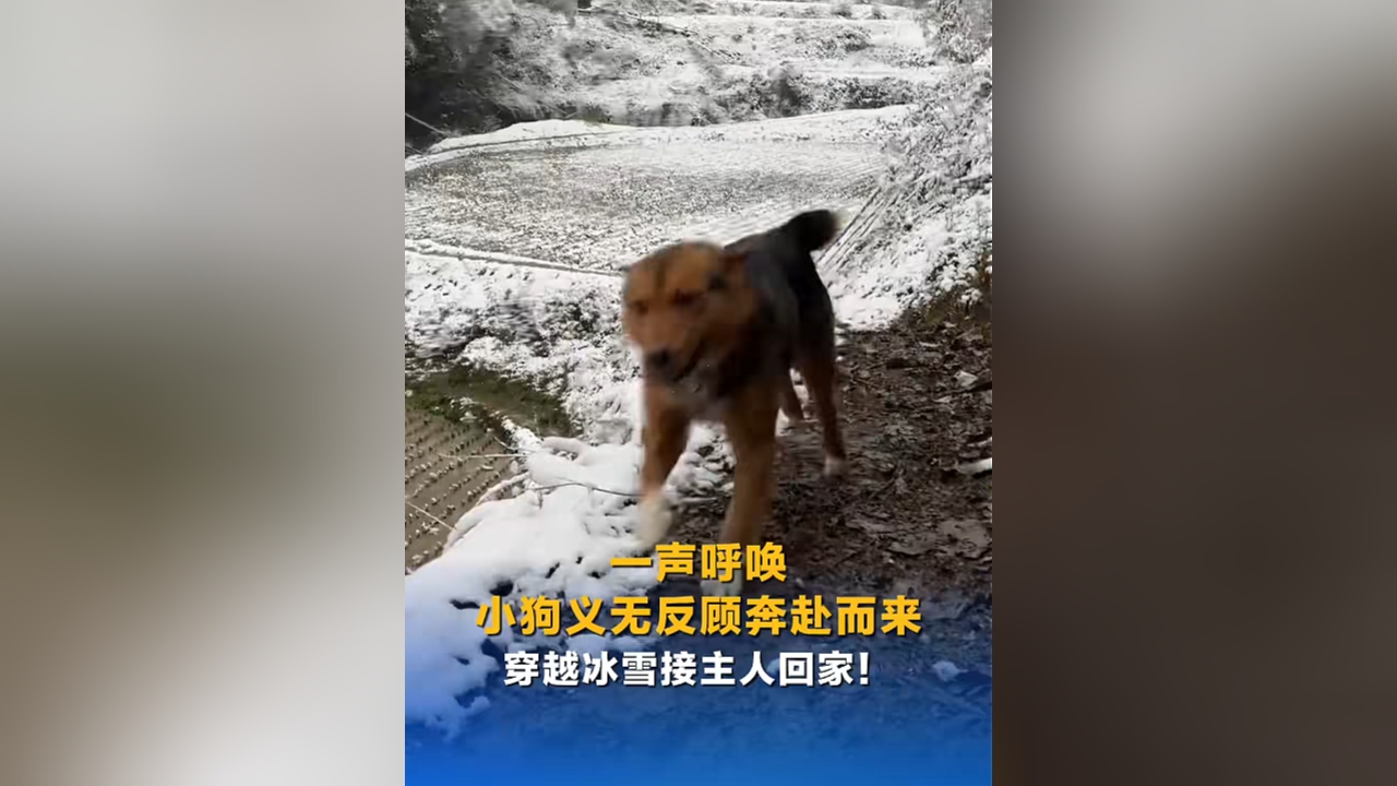 相关图片