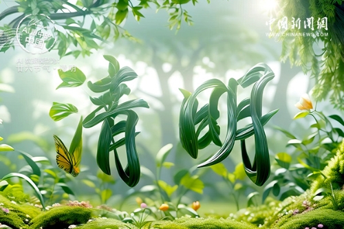 相关图片