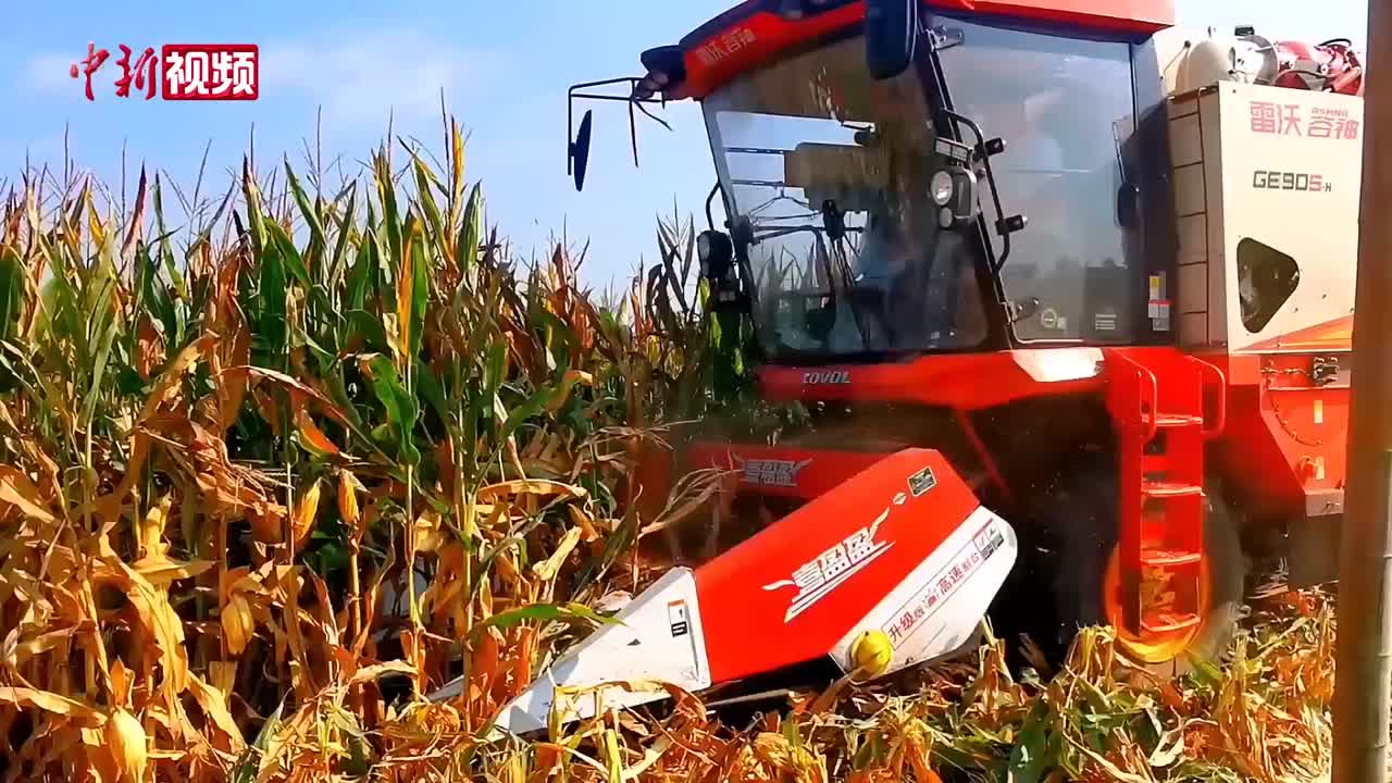 相关图片