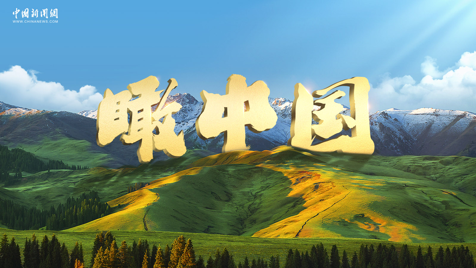 相关图片