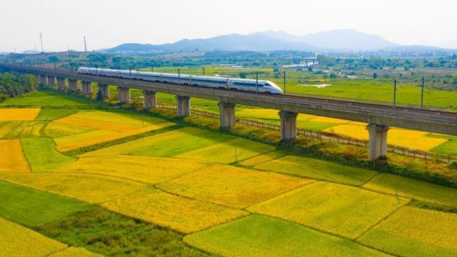 相关图片
