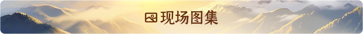 相关图片