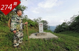 相关图片