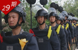 相关图片
